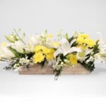 A Calm Forest - Image 3