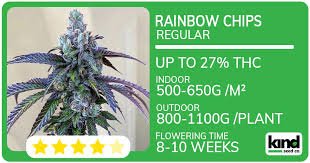 The Ultimate Guide to GG4 Autoflower