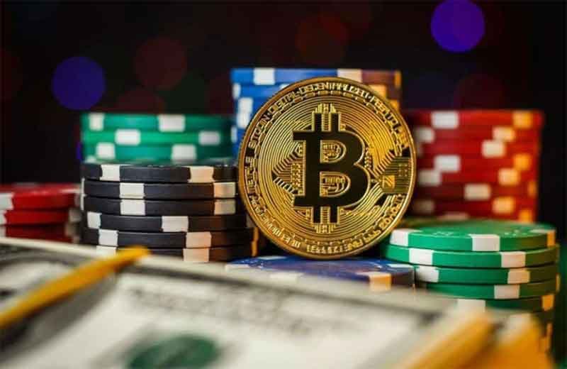 Where to Bet on Table 11