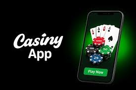 Explore the Thrills of Casiny Casino