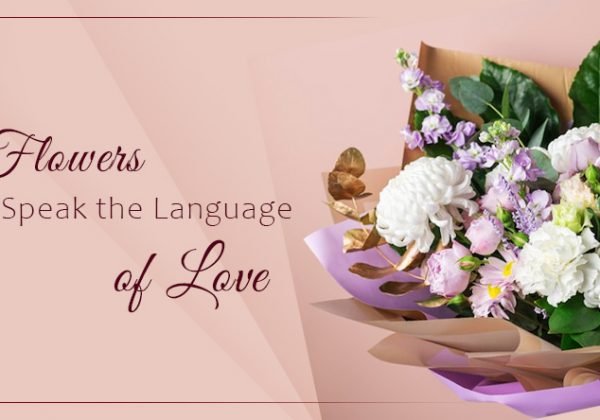 5 Flowers that Speak the Language of Love